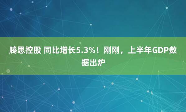 腾思控股 同比增长5.3%！刚刚，上半年GDP数据出炉