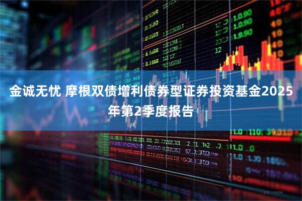 金诚无忧 摩根双债增利债券型证券投资基金2025年第2季度报告