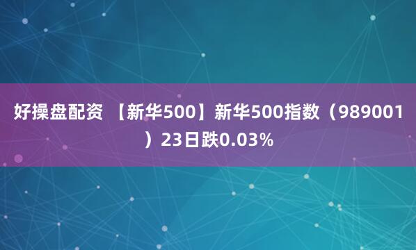好操盘配资 【新华500】新华500指数（989001）23日跌0.03%