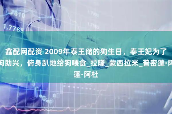 鑫配网配资 2009年泰王储的狗生日，泰王妃为了给狗助兴，俯身趴地给狗喂食_拉隆_蒙西拉米_普密蓬·阿杜